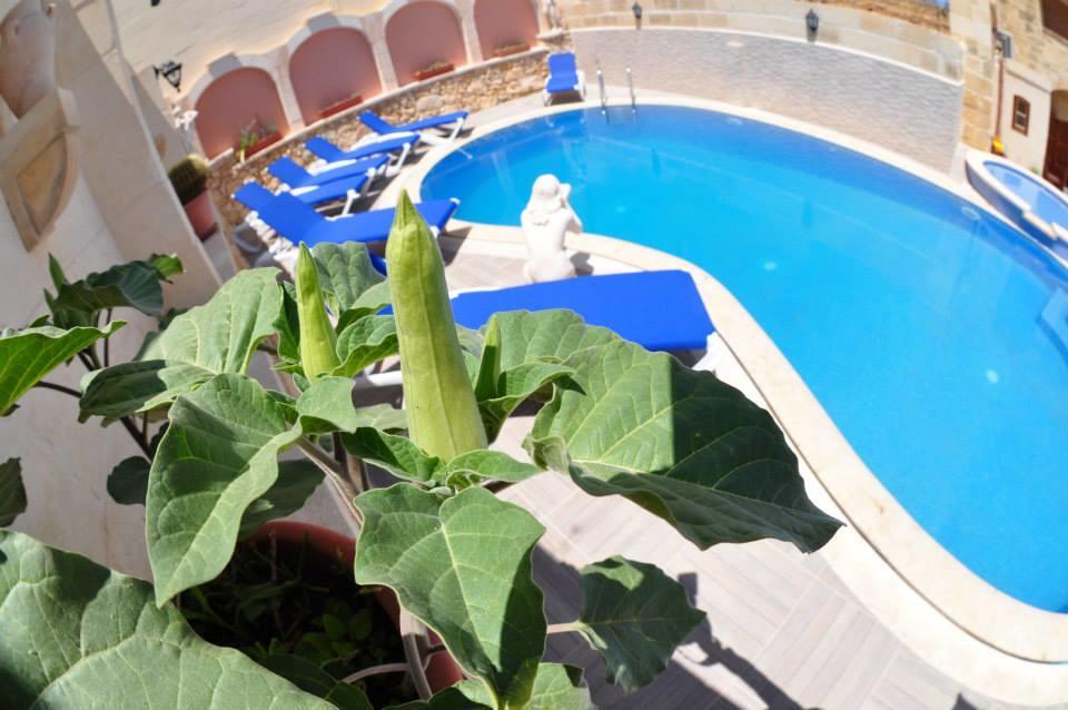 Mikiel U Rosa Holiday Farmhouse With Large Private Pool Zebbug  Εξωτερικό φωτογραφία